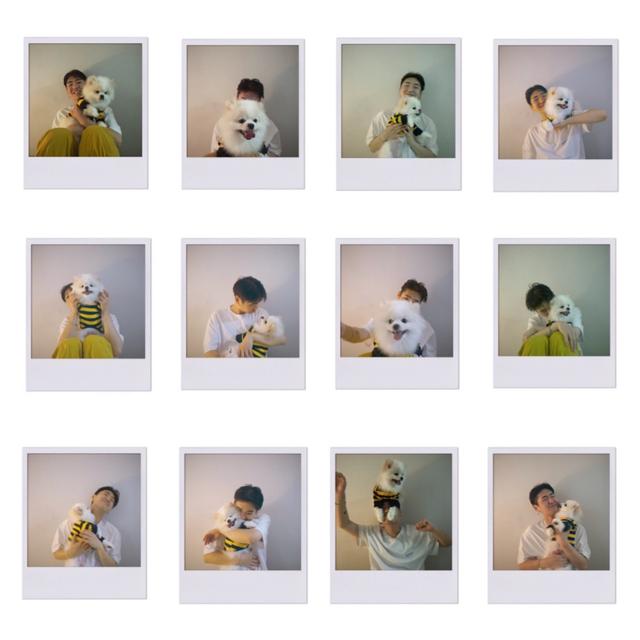 Album cover art for HONEY