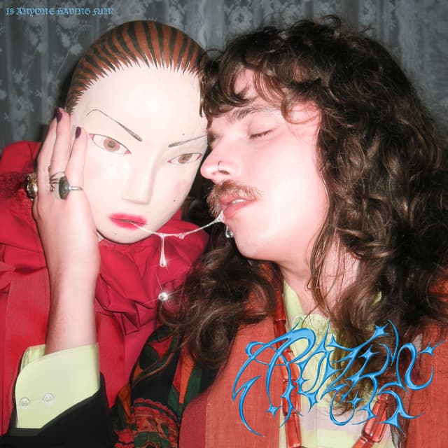 Album cover art for Is Anyone Having Fun?
