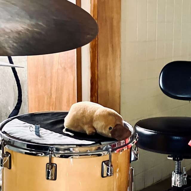 Album cover art for 釋迦 (Live Session)