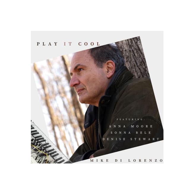 Album cover art for Play It Cool