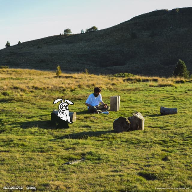 Album cover art for In Plain Sight