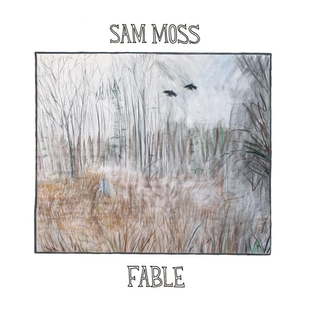 Album cover art for Fable