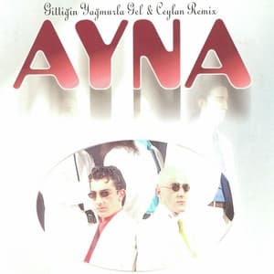 Album cover art for Gittiğin Yağmurla Gel