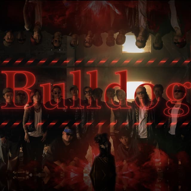 Album cover art for Bulldog