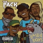 Album cover art for Based Boys