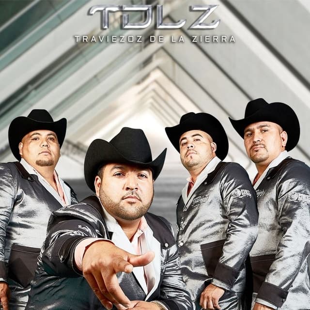 Album cover art for T.D.L.Z