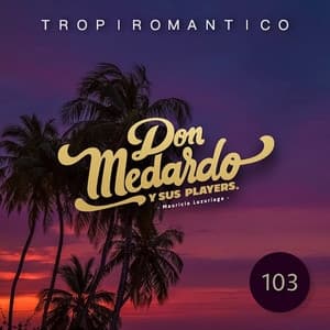 Album cover art for Tropiromántico