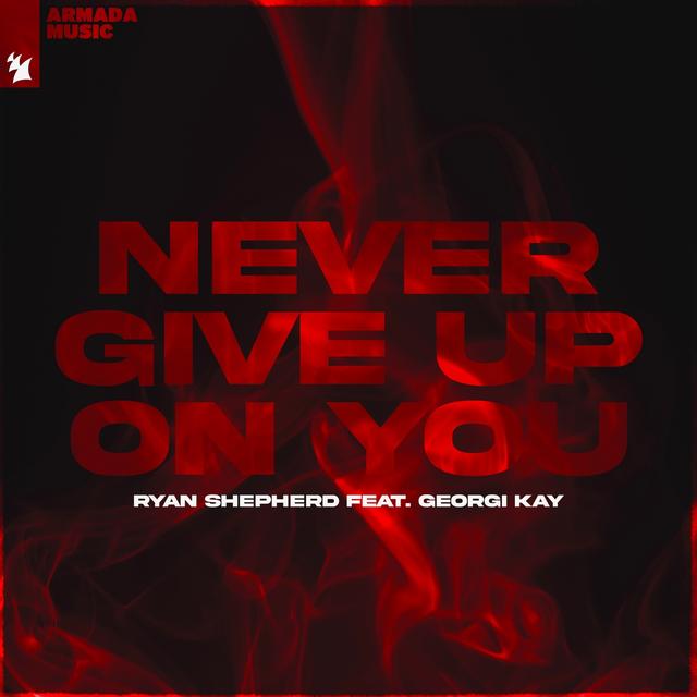 Album cover art for Never Give Up On You