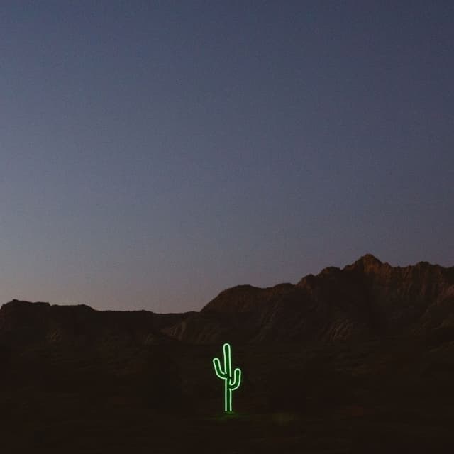 Album cover art for Open Skies (Wildflower)