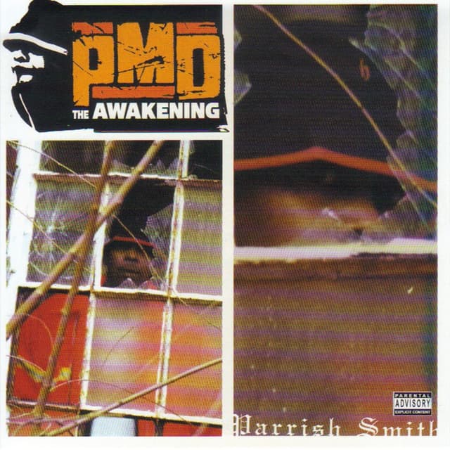 Album cover art for The Awakening