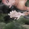 Complicated Love