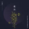 화;월 (花月) Night Flower (Night Flower)