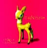 Dawn