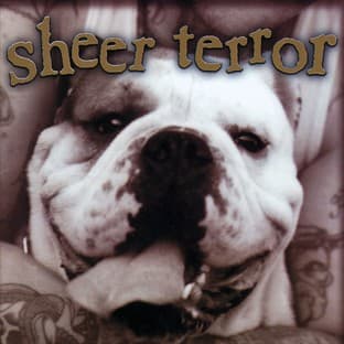 Album cover art for Bulldog Edition
