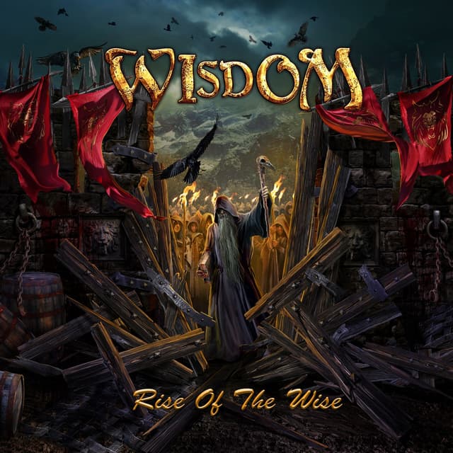 Album cover art for Rise Of The Wise