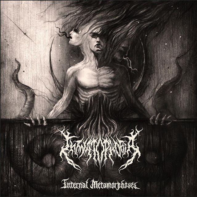 Album cover art for Internal Metamorphoses