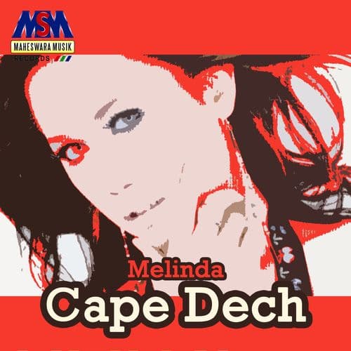 Album cover art for Cape Dech
