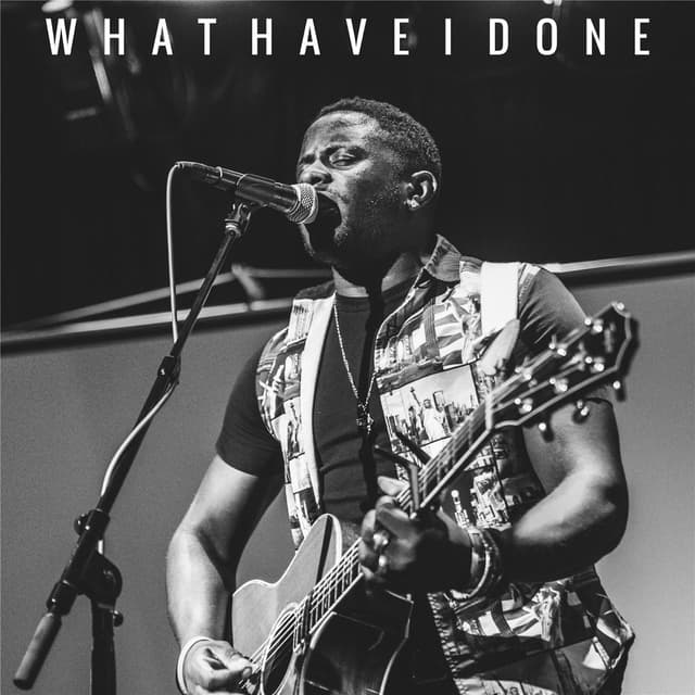 Album cover art for What Have I Done (Full version)