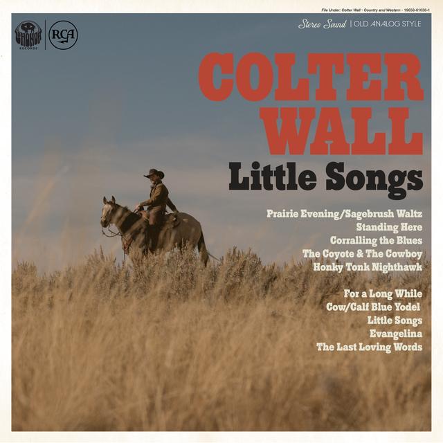 Album cover art for Little Songs