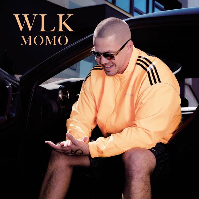 Album cover art for WLK