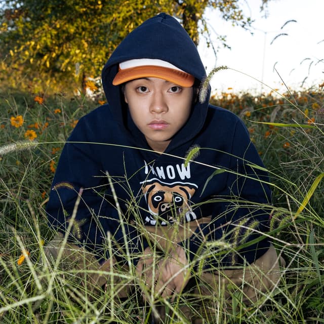 Album cover art for CICADA