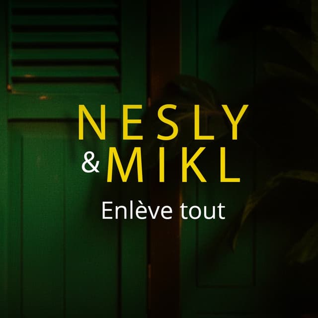 Album cover art for ENLÈVE TOUT