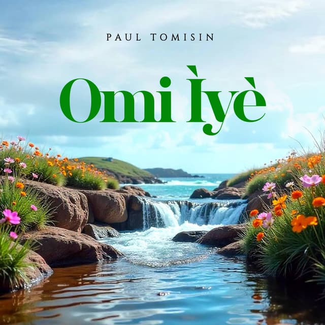 Album cover art for OMI IYE