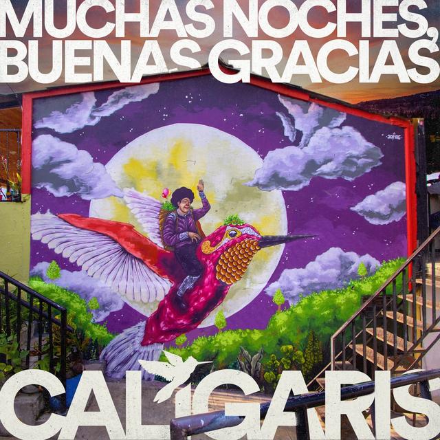 Album cover art for Muchas Noches, Buenas Gracias