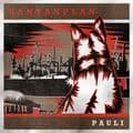Album cover art for Pauli