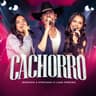 Cachorro [Ao Vivo]