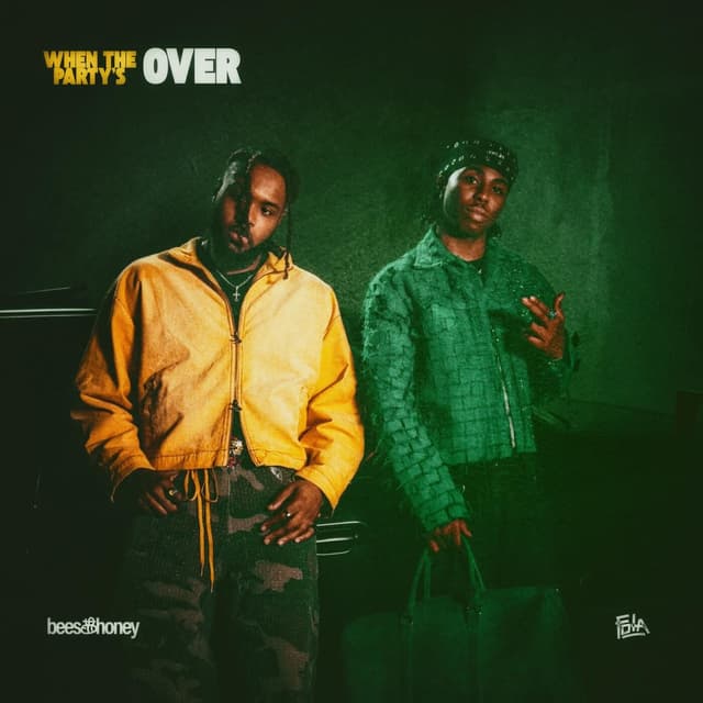 Album cover art for When the Party's Over