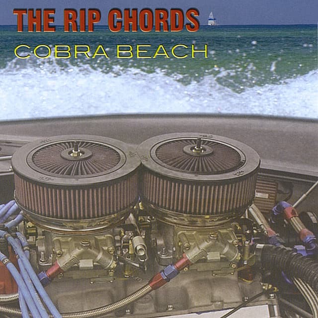 Album cover art for Cobra Beach