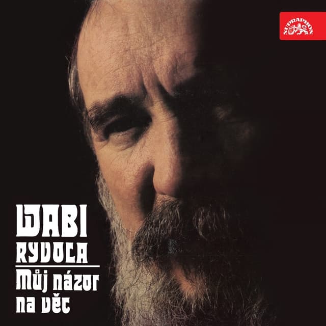 Album cover art for Můj Názor Na Věc