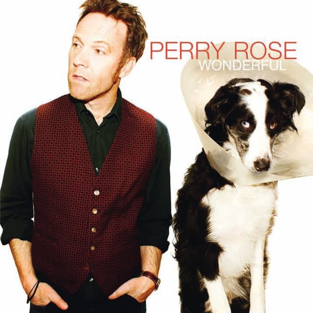 Album cover art for Wonderful