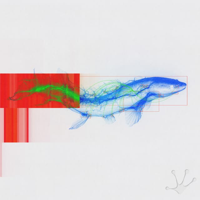 Album cover art for Shock