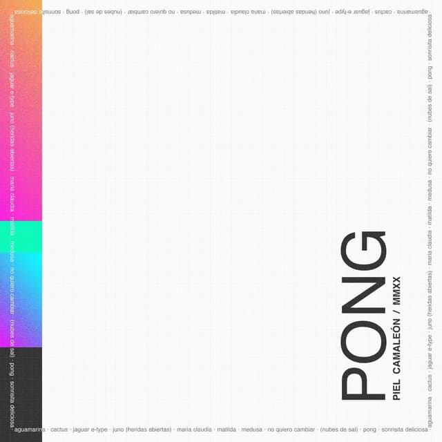 Album cover art for PONG