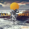 Small World (Remix)