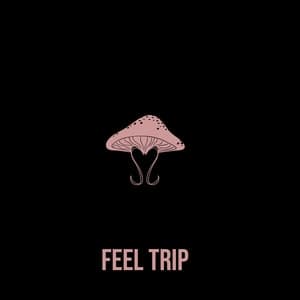 Album cover art for Feel Trip