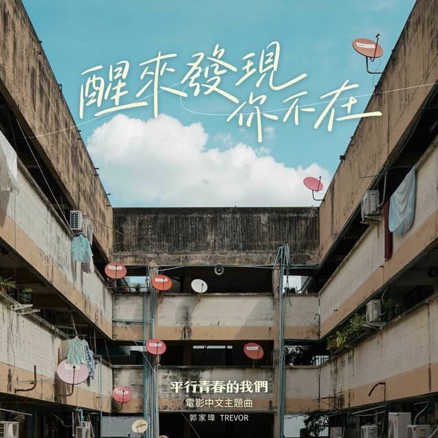 Album cover art for 醒來發現你不在