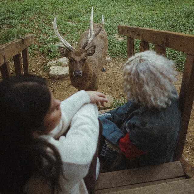 Album cover art for Feresy