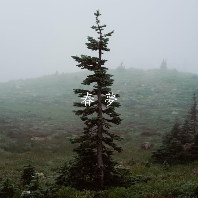 Album cover art for Spring Dream