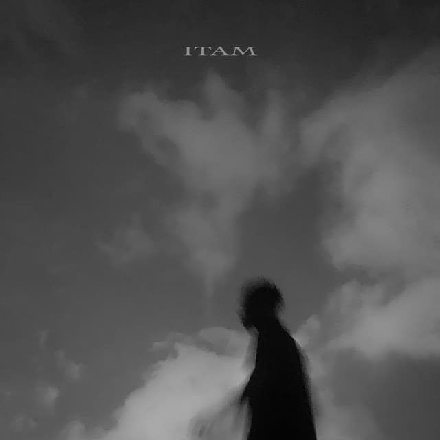 Album cover art for I.T.A.M.