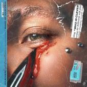 Album cover art for Who is Clever?