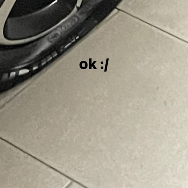 Album cover art for ok :/