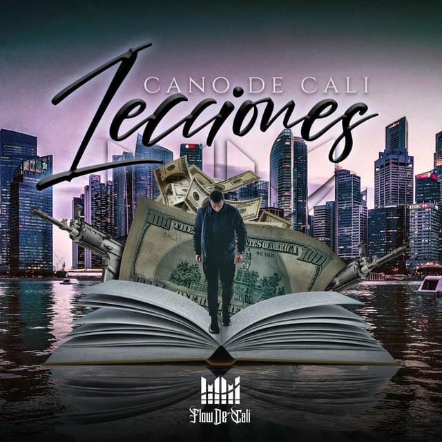 Album cover art for Lecciones