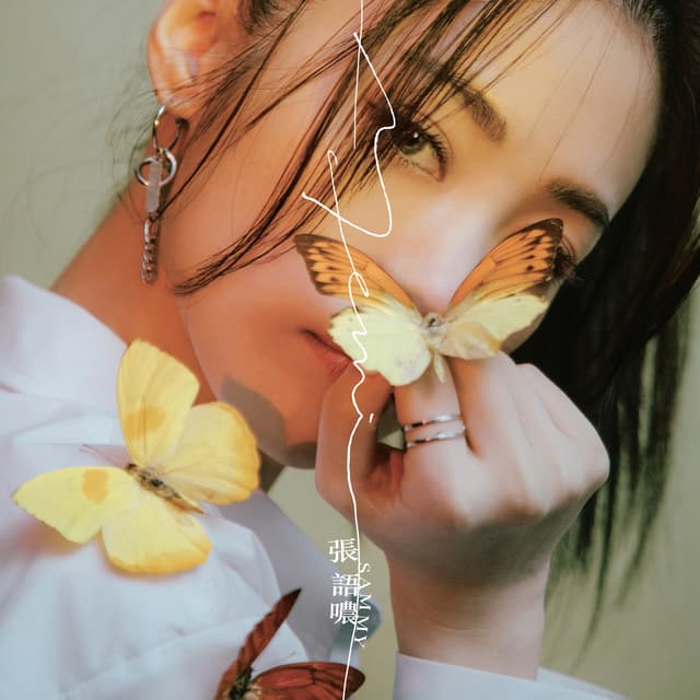 Album cover art for MeMi