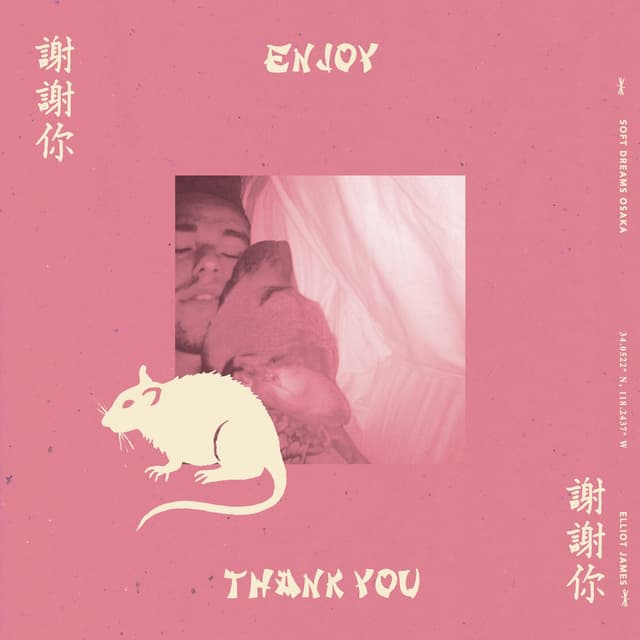 Album cover art for Soft Dreams Osaka