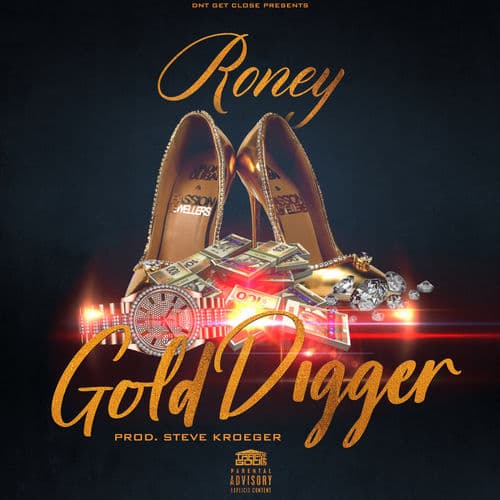 Album cover art for Gold Digger