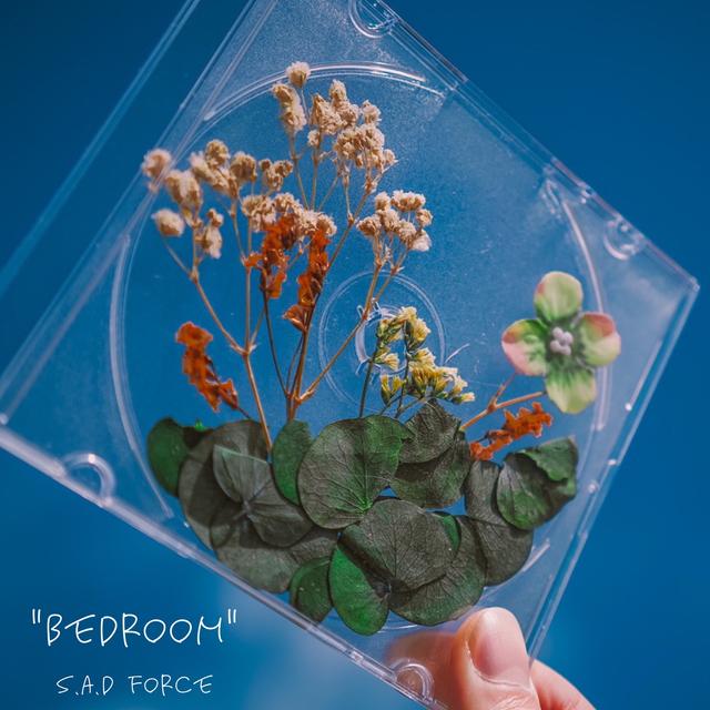 Album cover art for Bedroom