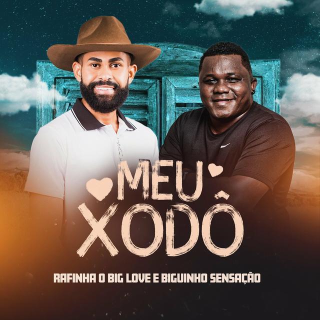 Album cover art for Meu Xodó